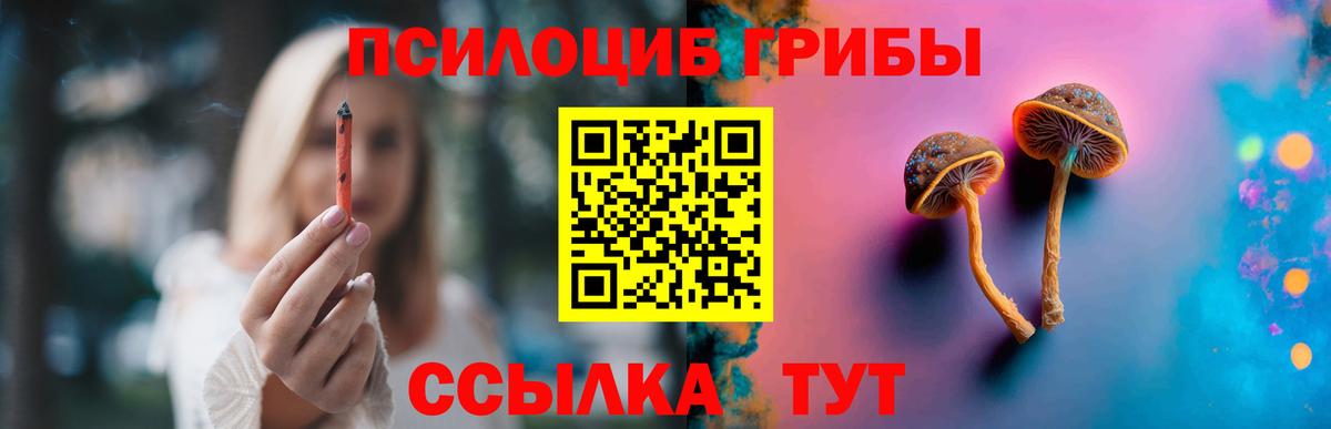 Галлюциногенные грибы Psilocybine cubensis Железноводск